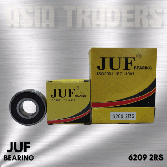 6209 2RS