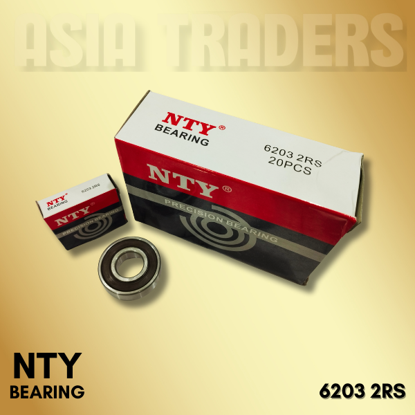 6203 2RS NTY