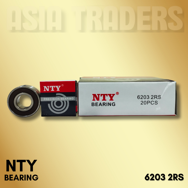 6203 2RS NTY