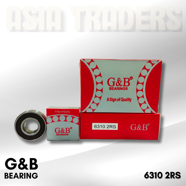 6310 2RS