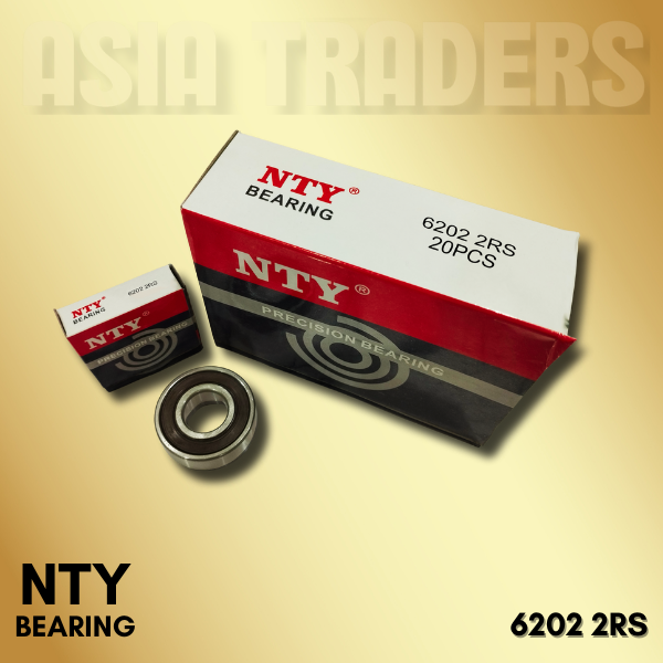 6202 2RS NTY